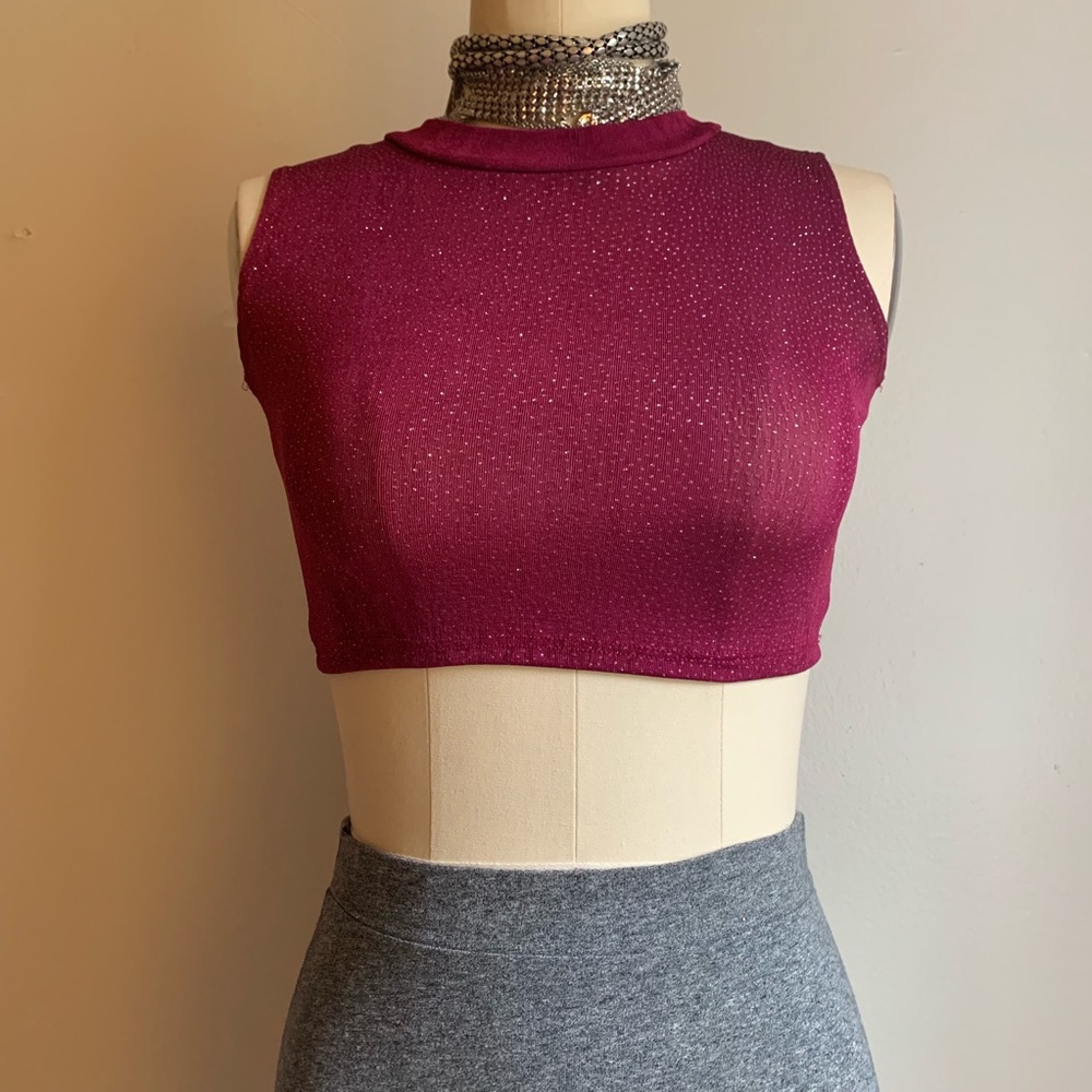 Glitter Burgundy Crop Top